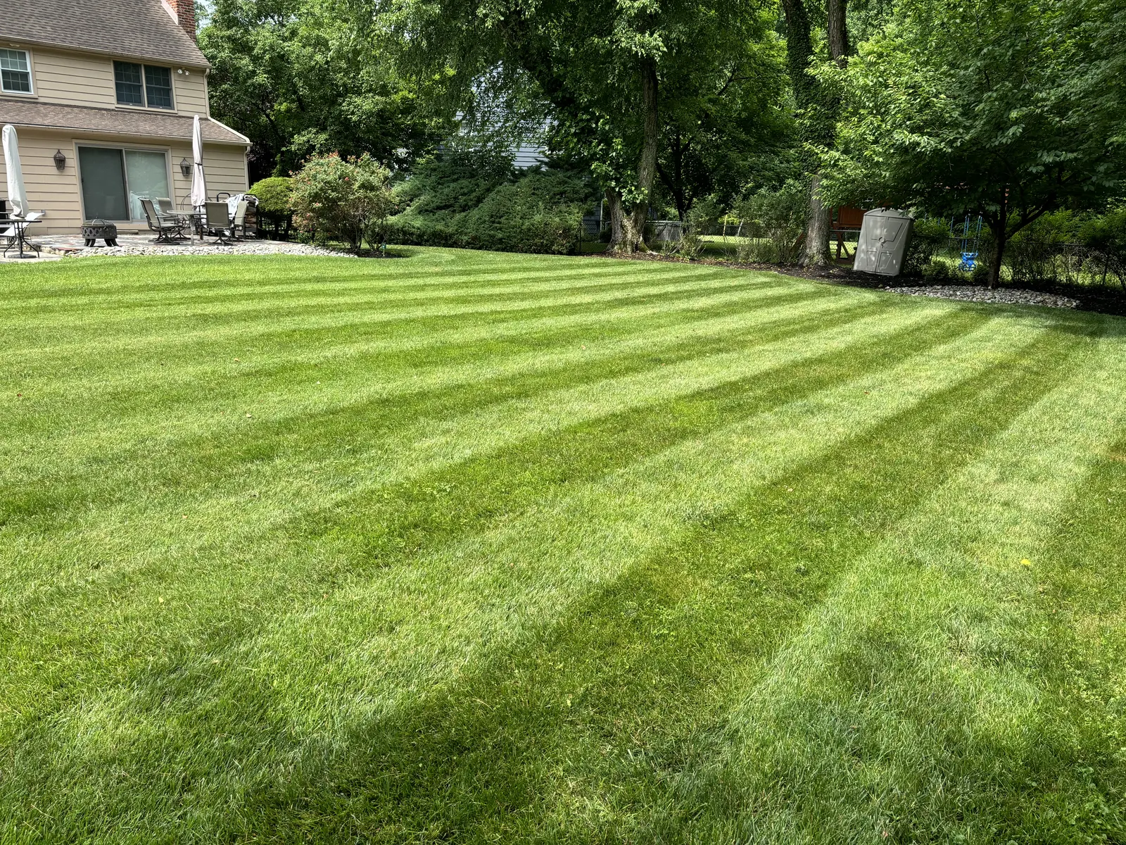Striped Lawn Finished by Down To Earth Landscaping.