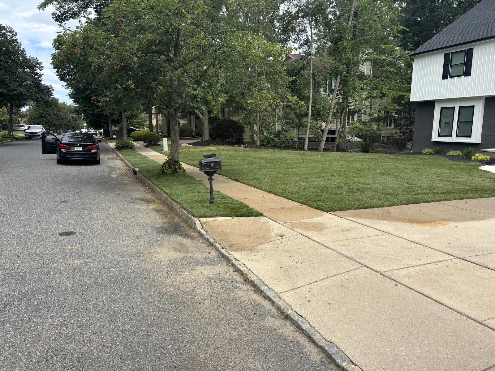 Front Yard Sod Finished by Down To Earth Landscaping.